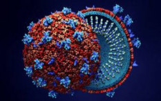 Virus Corona Takut Musim Panas dan Dingin