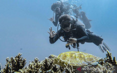 Pemerintah Ajak Pelaku Wisata Selam Siapkan Strategi usai Pandemi