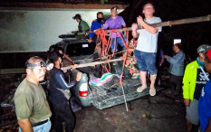 Dua Beruang Madu yang Lepas dari WRC Jogja Tertangkap, Salah Satunya Sampai di Pekarangan Warga