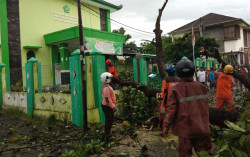 Hujan Deras, Pohon Bertumbangan di Kota Jogja