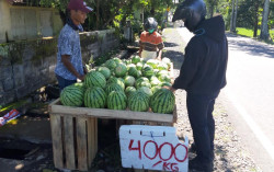 Jeritan Hati Penjual Semangka, Dulu Habis Sehari Kini Sampai 4 Hari