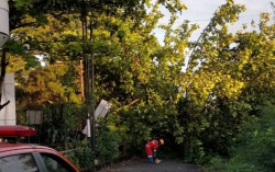 Banjir dan Pohon Tumbang Masih Terjadi di Sleman, Waspadalah!