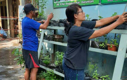 Kampung Sayur Bausasran Tetap Produktif di Tengah Pandemi