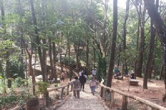 Kehilangan Pendapatan Rp40 Miliar, Ini yang Disiapkan Dinpar Bantul Jika Pandemi Berakhir