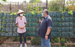 Agar Siap Hadapi Pandemi, DIY Perlu Memiliki Konsep Kedaulatan Pangan Terintegrasi 