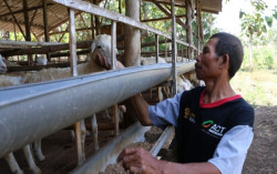 ACT DIY Ajak Masyarakat Berkurban Untuk Bantu Warga Terdampak Covid-19