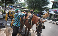 Andong di Malioboro Mulai Beroperasi, Kusir Pakai Face Shields