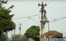 Pendapatan Klaim PLN Turun Akibat Covid-19