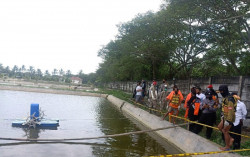 Kincir Tambak Udang di Kulonprogo Makan Korban