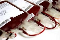 Penyembuhan Pasien Covid-19: Kemenkes Ajak Seluruh RS untuk Uji Klinis Plasma Konvalesen
