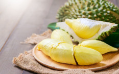 Gara-Gara Bau Durian, Karyawan Satu Gedung Dievakuasi dan Empat Dilarikan ke RS