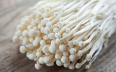 Jadi Sumber Penyakit di Negara Lain, Jamur Enoki di Indonesia Dimusnahkan