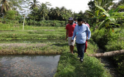 Subardi Kawal Peternak Lokal Tembus Industri Nasional
