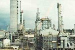 Harga Gas Bumi Turun, Petrokimia Gresik Optimistis Hadapi Persaingan Global
