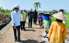 Sehari Capai 2.657 Kasus, Jokowi: Ini Sudah Lampu Merah Lagi