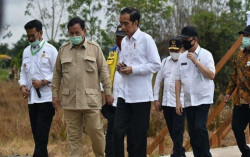 Pengembangan Food Estate Picu Antusiasme Petani Kapuas