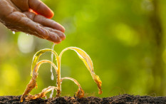 Siap-Siap, DIY Berpotensi Kekeringan Meteorologis Kategori Siaga, Ini Dampaknya