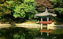 Kunjungan Wisatawan Indonesia ke Korea Anjlok 63% karena Pandemi