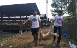 Nikmat Kurban Menyapa Warga Terdampak Kekeringan di Gunungkidul