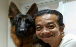 Banyak Hewan Piaraan Kabur dari Rumah selama Pandemi Corona, Akibat Stres?