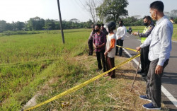 Ditinggal Memupuk Padi, Motor Petani Hilang
