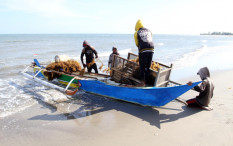 KKP Beri Pelatihan Membuat Mi dari Rumput Laut