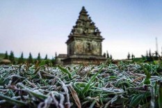 Suhu Lebih Dingin, Muncul Embun Es di Dieng 