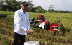 Bupati Sri Purnomo Tegaskan Salat Iduladha Tidak Boleh Dilaksanakan di Ruang Terbuka