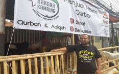 Apes, Pedagang Hewan Kurban Langganan Artis dan Pejabat Banting Harga Biar Laku