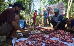 Hari Pertama Iduladha, ACT DIY Salurkan Qurban di Pelosok Gunungkidul