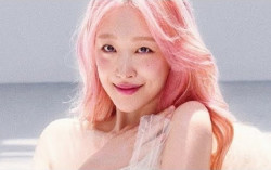 Film Dokumenter Kisah Mendiang Sulli Segera Digarap