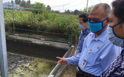 Warga Gilangharjo Manfaatkan Lahan untuk Ternak Lele, Sebulan Bisa Panen 2 Ton