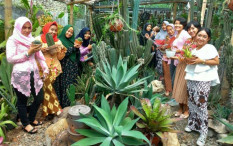 Komunitas Pencinta Tanaman Ini Berbisnis Sambil Mengedukasi Pembeli
