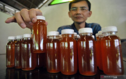Hadi Pranoto Akan Diperiksa Sebagai Saksi Dugaan Hoaks Obat Covid-19