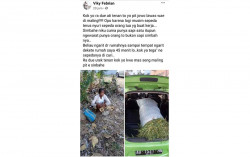 Viral Nenek di Bantul, Ontelnya Dicuri saat Ditinggal Mencari Rumput