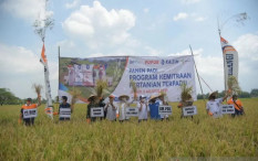 OPINI: Strategi Melepas Jeratan Impor Pangan