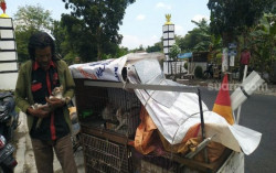 Pemulung Asal Bantul Ini Rawat Puluhan Kucing yang Ditemukan di Jalan
