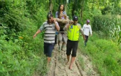 Cerita Heroik Polisi Bikin Tandu dari Bambu untuk Selamatkan Ibu Usai Melahirkan