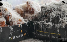 Terhimpit Ekonomi, Mahasiswa Ini Buka Gerbang Cuan lewat Bisnis Kuliner Pisang