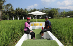 Sawah di Magelang Viral, Pejabat hingga Artis Tertarik Berkunjung