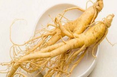 4 Tanaman Ini Punya Khasiat Tingkatkan Sistem Imun