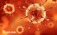Pemerintah Akan Lakukan Investigasi Terkait Virus Corona D614G Menular 10 Kali Lebih Cepat 