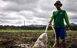 Masuk Kemarau, Petani Kedundang Mulai Kesulitan Air