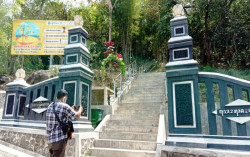 Rotan di Hutan Wonosadi Dibiarkan Tumbuh Liar