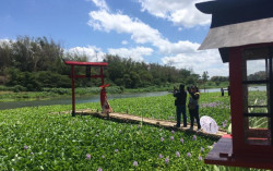 Muncul Wisata ala Jepang di Tepi Sungai Opak Bantul & Kini Viral