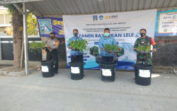 Panen Lele dan Kangkung Bisa Tekan Kekambuhan Orang dengan Disabilitas Psikososial