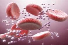 2 Virus yang Dibawa Nyamuk Ini Dapat Memicu Stroke