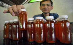 Begini Perkembangan Kasus Hoaks Obat Covid-19 Hadi Pranoto