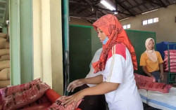 Tingkatkan Produktivitas & Efisiensi, Produsen Pembenihan Padi Beralih ke Listrik PLN