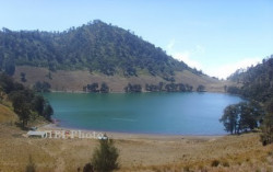 Setahun Tak Dijamah Manusia, Muncul Jejak Makhluk Langka di Kawasan Ranu Kumbolo
